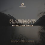 cover: Platunoff - Flying Over Water