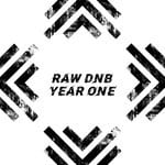 cover: Bluewire|Marsh|Rogue-t|Synkopate|Tetra - RAW DNB YEAR ONE