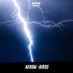 cover: Aerom - Birds