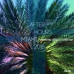 cover: Various - After Hours Miami 2016