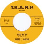 cover: George E. Johnson - Wake Me Up