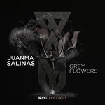 cover: Juanma Salinas - Grey Flowers