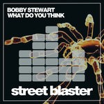 cover: Bobby Stewart - What Do You Think