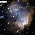 cover: Moog Boy - Space Dust