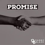 cover: Danny Blaze - Promise