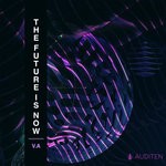 cover: Various - The Future Is Now V.A.