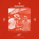 cover: The Precious Lo's|Ted & T-groove - Runaway Feat. The Precious Lo's