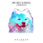 cover: Mr Belt & Wezol - Harmony