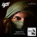 cover: Daniele Baldi|Richelle H - Didn'T