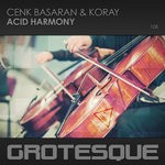 cover: Cenk Basaran & Koray - Acid Harmony