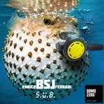 cover: Enrico Bsj Ferrari - S.U.B.