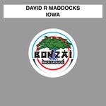 cover: David R Maddocks - Iowa