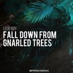 cover: Lego Boy - Fall Down From Gnarled Trees