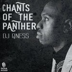 cover: Dj Qness - Chants Of The Panther