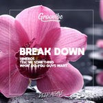 cover: Groovibe - Break Down