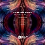 cover: Salvatore Bruno - Destiny's Wild EP