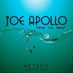 cover: Joe Apollo - What You Need