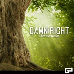 cover: No Strss - Damn Right