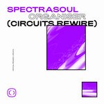 cover: Spectrasoul - Organiser