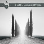 cover: Dj Rostej - My Ideal Of Perfection