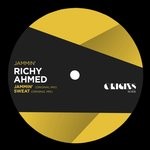 cover: Richy Ahmed - Jammin'