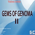 cover: Ikttus|Zioo|Sync D Kate|Jarek Yus - Gems Of Genoma II