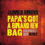 cover: James Brown - Papa's Got A Brand New Bag