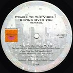 cover: Mr Fingers - Praise To The Vibes/Crying Over You Remixes