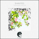 cover: Sham.poo - I Wanna Know