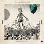 cover: Various - Mauerblumchen 003