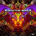 cover: Various - Elevating Souls