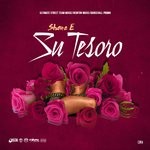 cover: Shane E - Su Tesoro