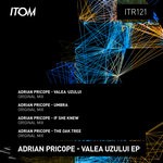 cover: Adrian Pricope - Valea Uzului