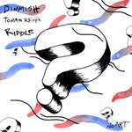 cover: Dimmish - Riddle