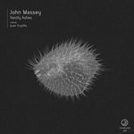 cover: John Massey - Vanity Ashes