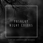 cover: Page Musiq|Pushguy - Night Colors