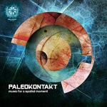 cover: Paleokontakt - Music For A Spatial Moment