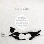 cover: Sophie Calle|Various - Souris Calle