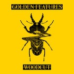 cover: Golden Features|Rromarin - Woodcut (Remixes)