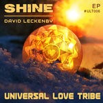 cover: David Leckenby - Shine