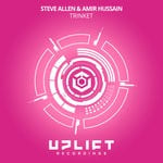 cover: Steve Allen & Amir Hussain - Trinket