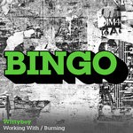 cover: Wittyboy - Working With/Burning