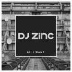 cover: Dj Zinc - All I Want