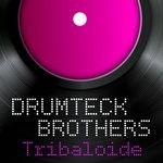 cover: Drumteck Brothers - Tribaloide