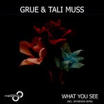 cover: Grue & Tali Muss - What You See