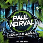 cover: Paul Norval - Rave In The Jungle