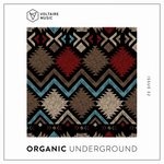 cover: Various - Organic Underground Issue 32