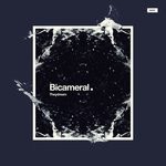 cover: Theydream - Bicameral