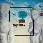 cover: Deniz Bul - Awake