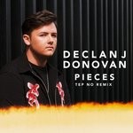 cover: Declan J Donovan|Tep No - Pieces